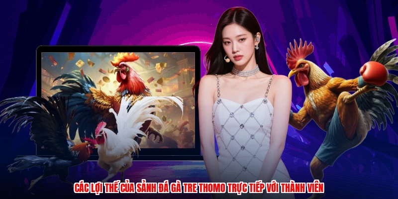 Các lợi thế của sảnh đá gà tre thomo trực tiếp với thành viên