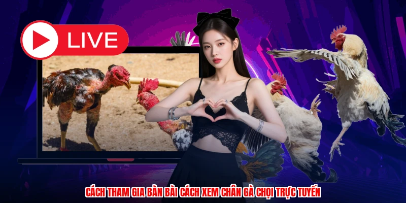 Cách tham gia bàn bài cách xem chân gà chọi trực tuyến