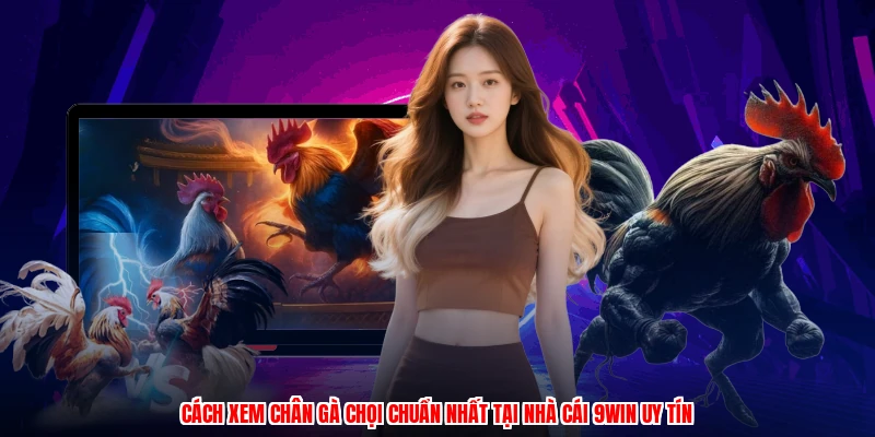 Cách Xem Chân Gà Chọi Chuẩn Nhất Tại Nhà Cái 9WIN Uy Tín