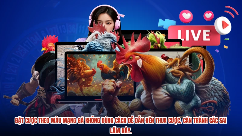Đặt cược theo màu mạng gà không đúng cách dễ dẫn đến thua cược, cần tránh các sai lầm này.