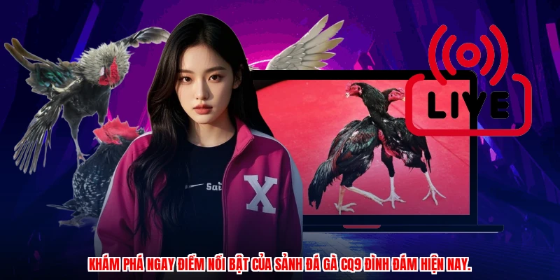 Khám phá ngay điểm nổi bật của Sảnh đá gà CQ9 đình đám hiện nay.