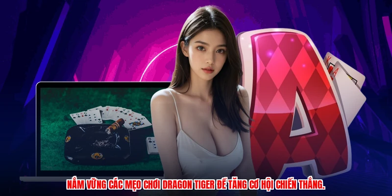 Nắm vững các Mẹo chơi Dragon Tiger để tăng cơ hội chiến thắng.