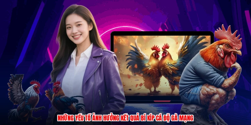 Những yếu tố ảnh hưởng kết quả bí kíp cá độ gà mạng
