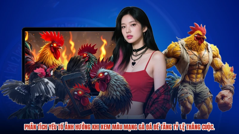 Phân tích yếu tố ảnh hưởng khi xem màu mạng gà đá để tăng tỷ lệ thắng cuộc.