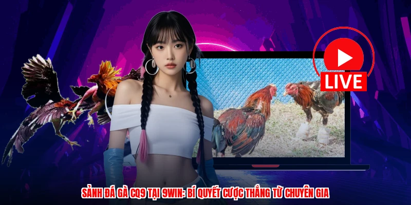 Sảnh Đá Gà CQ9 Tại 9WIN: Bí Quyết Cược Thắng Từ Chuyên Gia