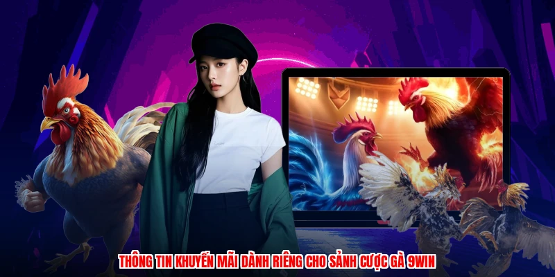 Thông tin khuyến mãi dành riêng cho sảnh cược gà 9WIN