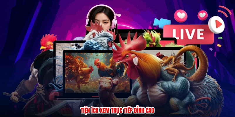 Tiện ích xem trực tiếp đỉnh cao