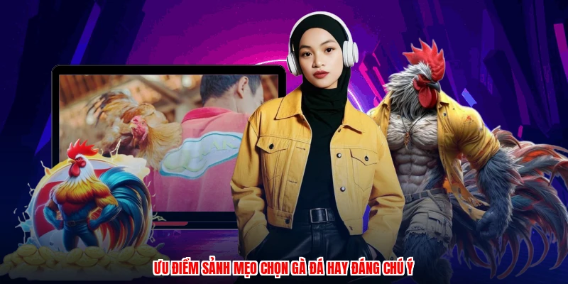Ưu điểm sảnh mẹo chọn gà đá hay đáng chú ý