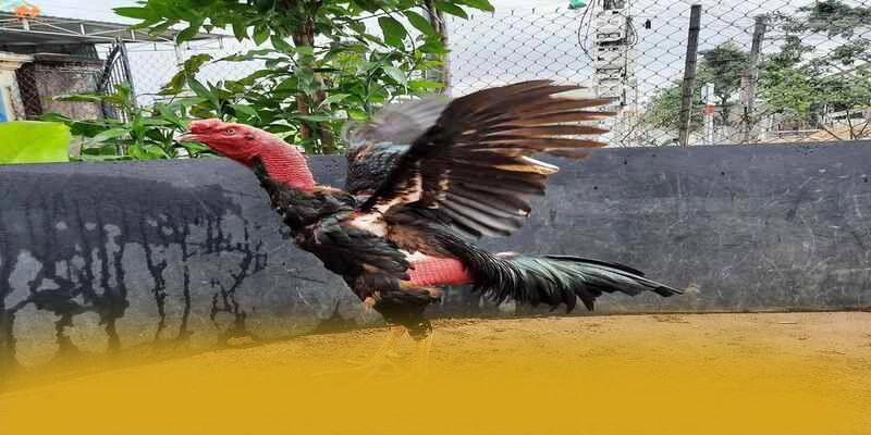 Chương trình thưởng giá trị lớn dành cho tất cả người chơi tại 8XBET